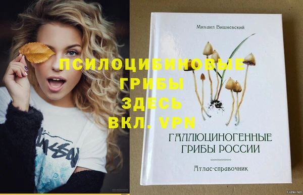 амф Железноводск