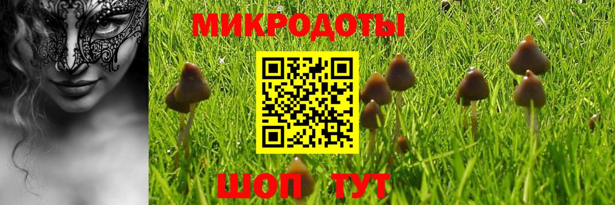 Кореновск  Галлюциногенные грибы мицелий  Вход с VPN 